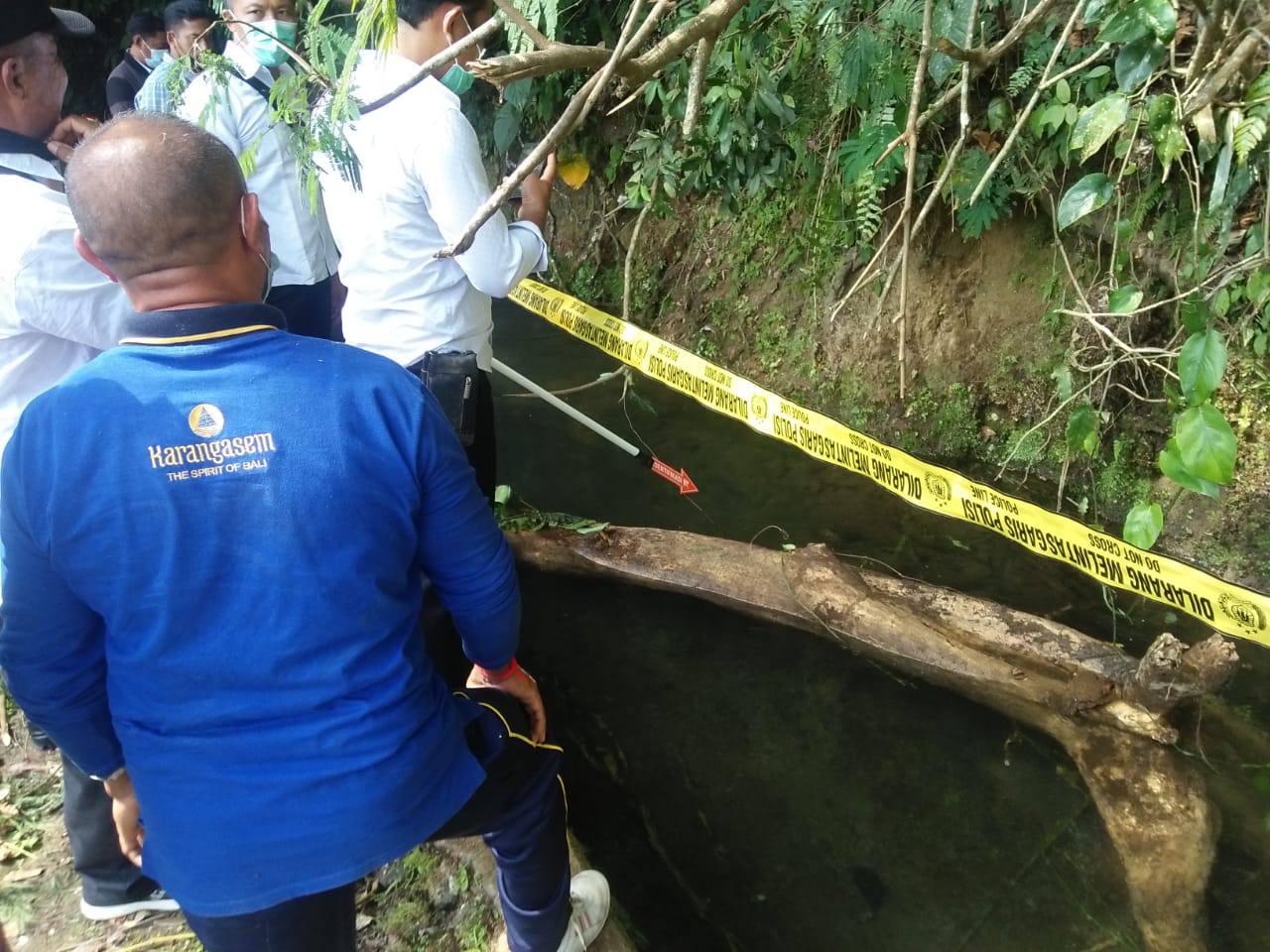 Pria 61 Tahun Tewas Tertimpa Pohon Dapdap di Karangasem