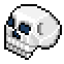 skull