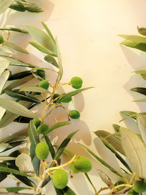 Composición de rama de olivo para hacer un cuadro