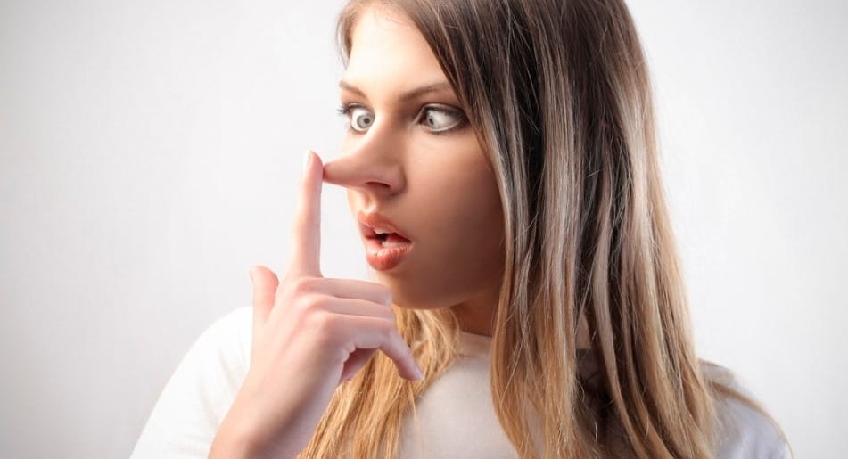 what does it if a s nose is what does skin cancer on the nose look like cancer oz what does it if a s nose is what does skin cancer on the nose look like cancer oz
