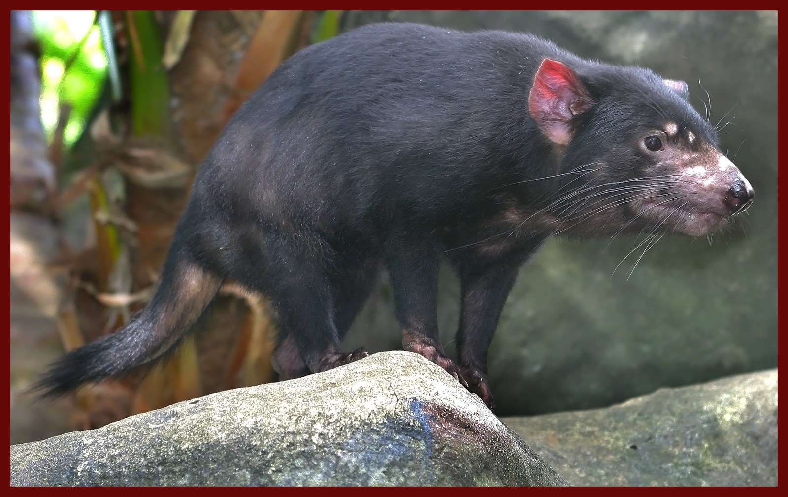 ScienceSeeker Science News Aggregator What lessons can we learn from