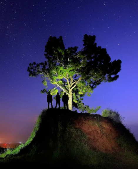 Bukit Satu Pohon Taman Simalem Resort, Tempat Tertinggi Menikmati