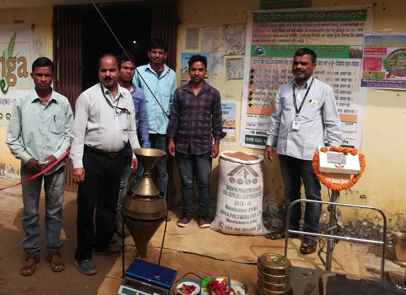 Strengthening Millet Procurement System A critical analysis of Ragi