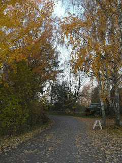 CIMG2728 - Ljus och mild morgon