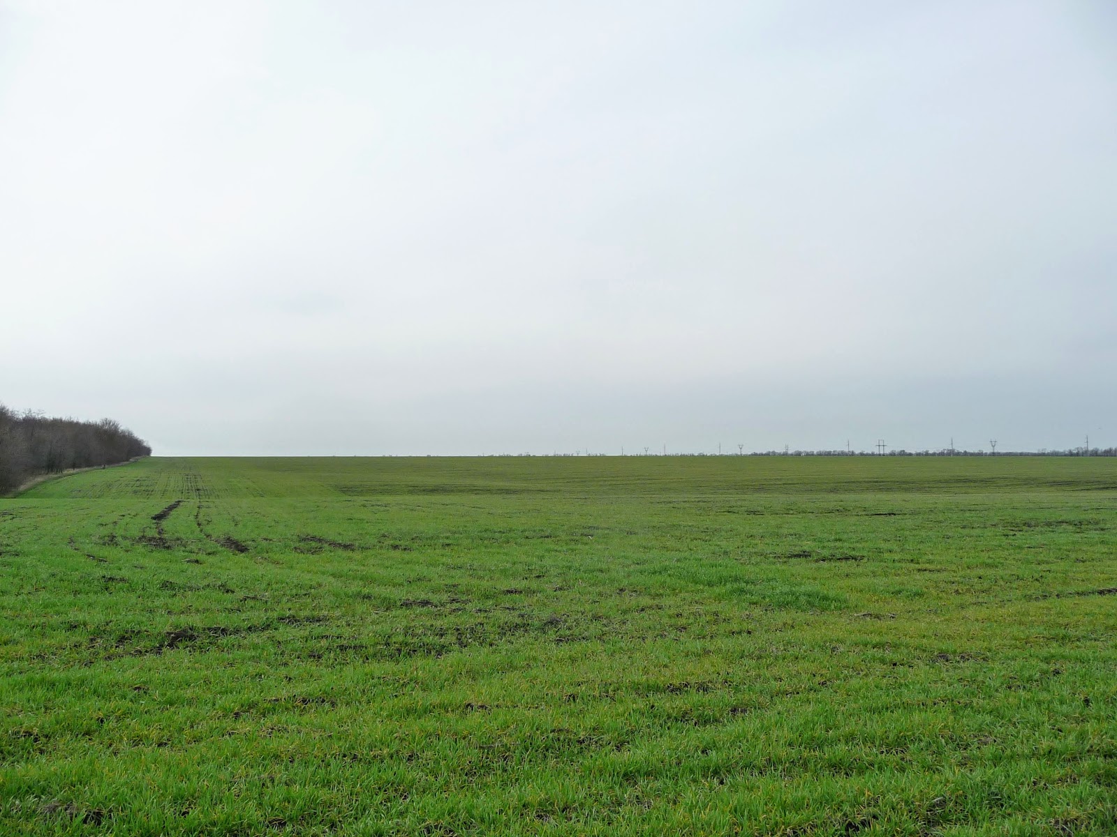 погода в лысовке смоленская. погода в лысовке смоленская. д лысовка починковский район. 1 школа новопавловка школа. дер.