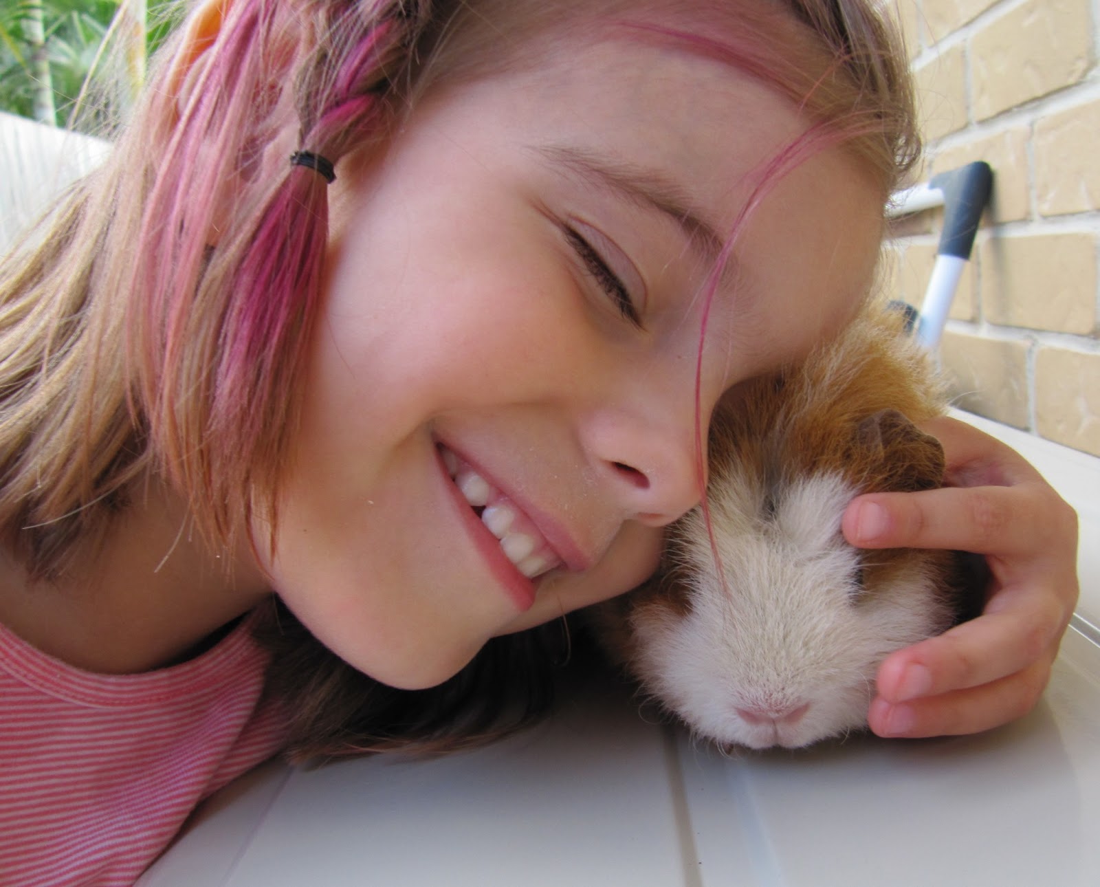 All Things Guinea Pig: Chelsea's first Pig