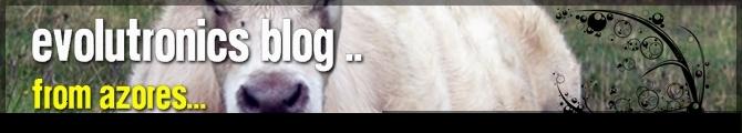 Evolutronics Azores BloG: 2012-04-29