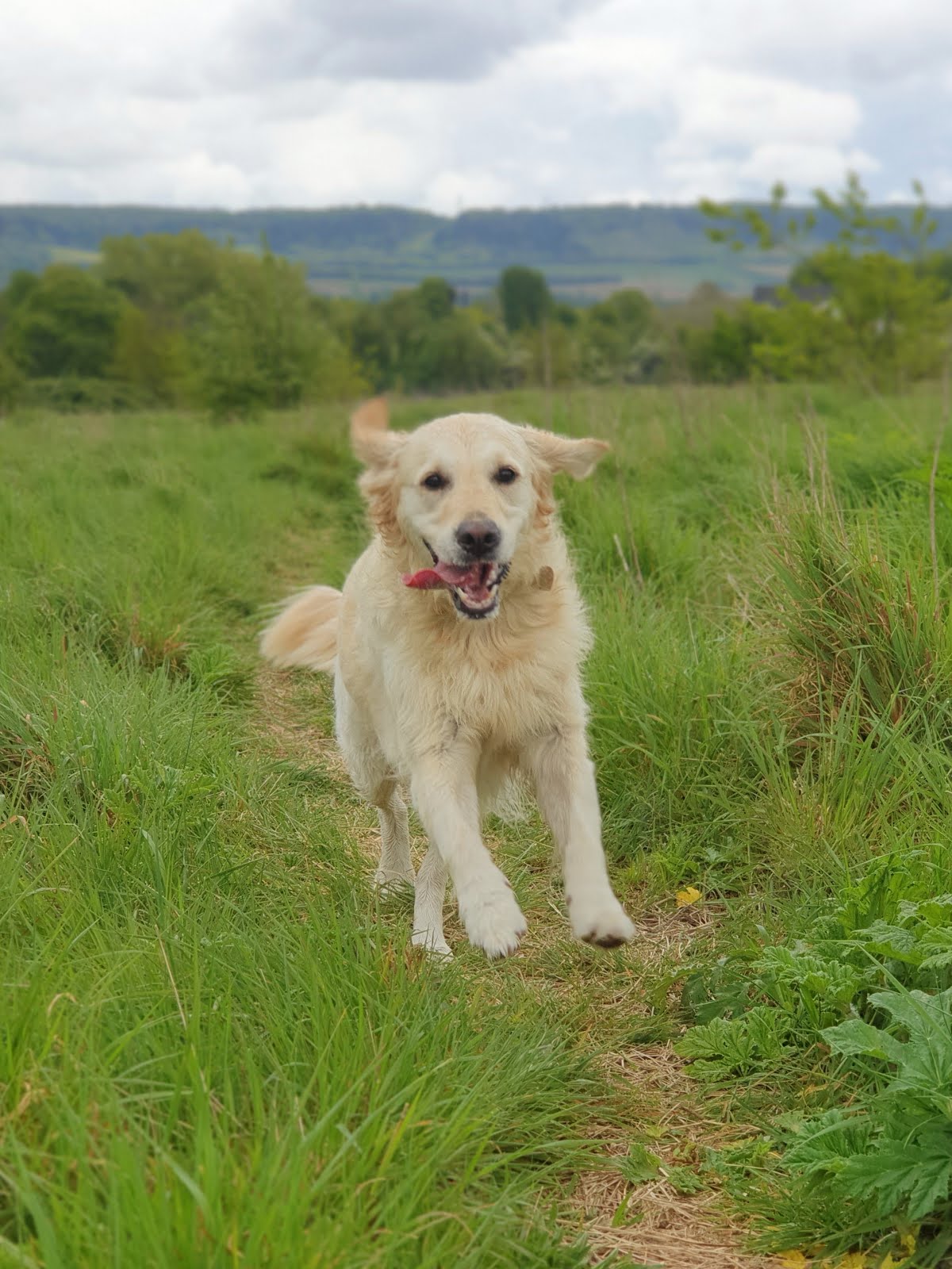 Happy 5th Birthday Betty Boo!