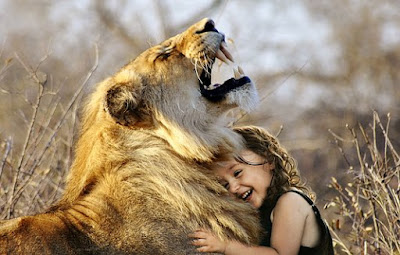 Lion Images Lion Images