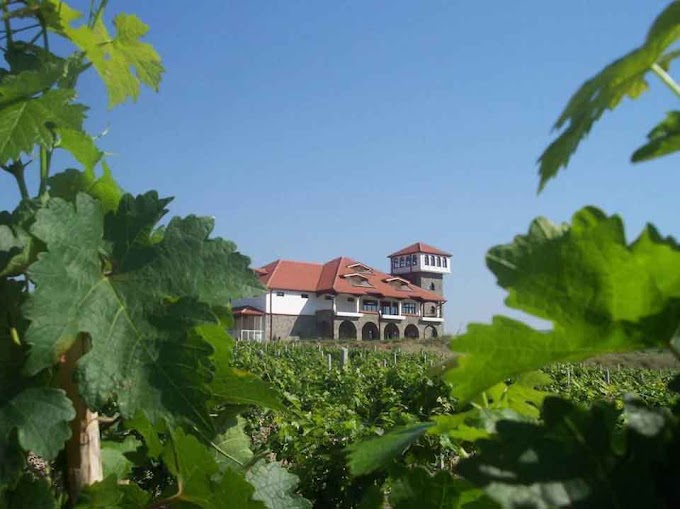 Drei Weingüter die Ihr in der Weinregion Povardarie in Mazedonien besuchen müsst