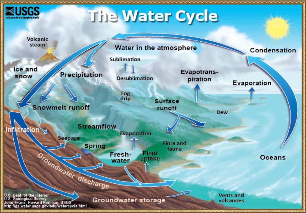 Reading Sage WATER CYCLE Reading Comprehension/Science Articles
