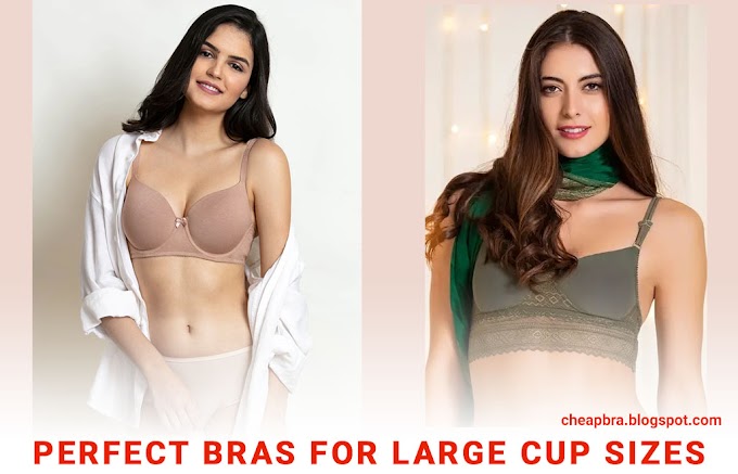 best bra for large cup size