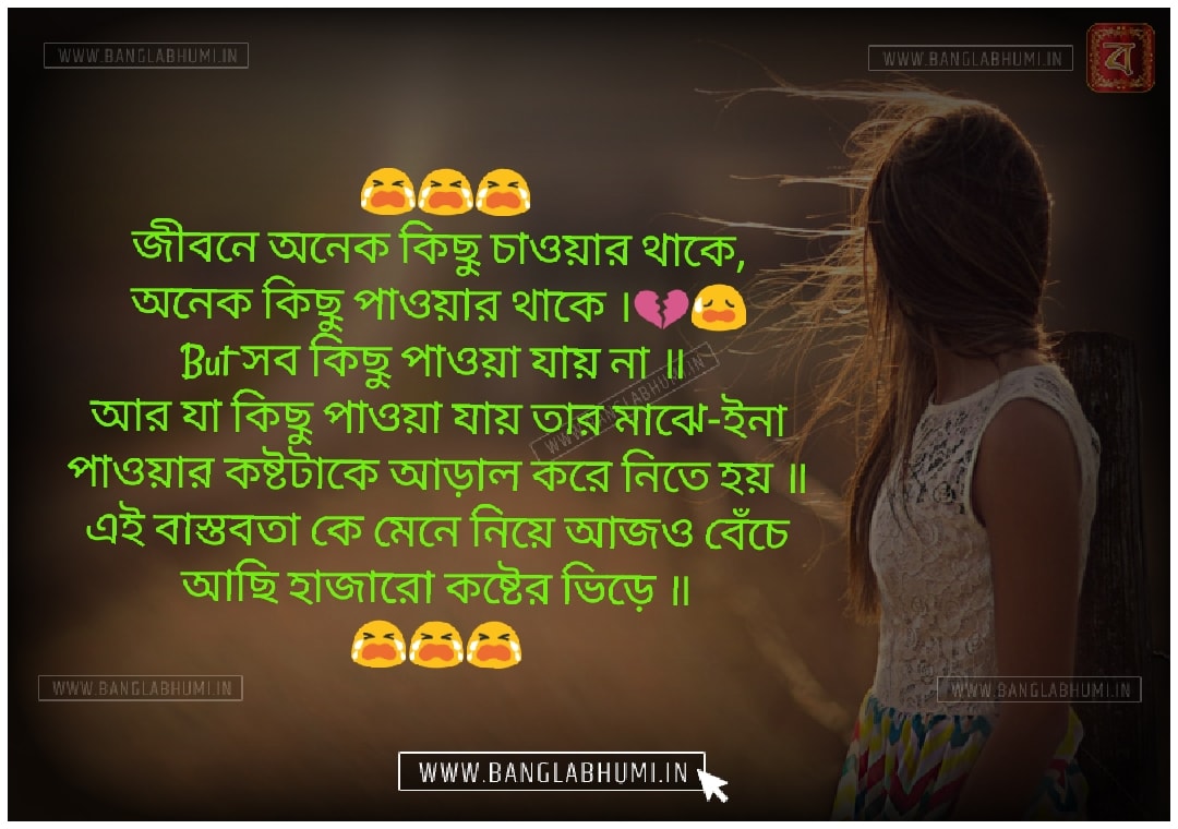 facebook status in bangla font