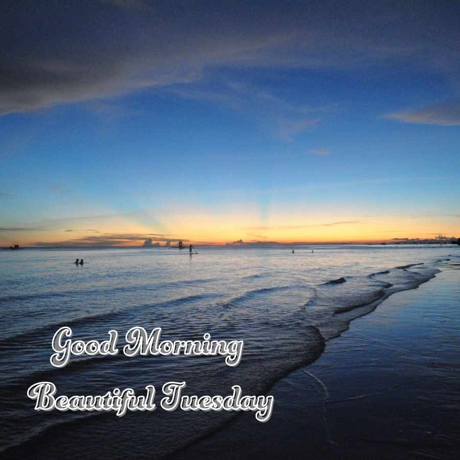 morning tuesday images