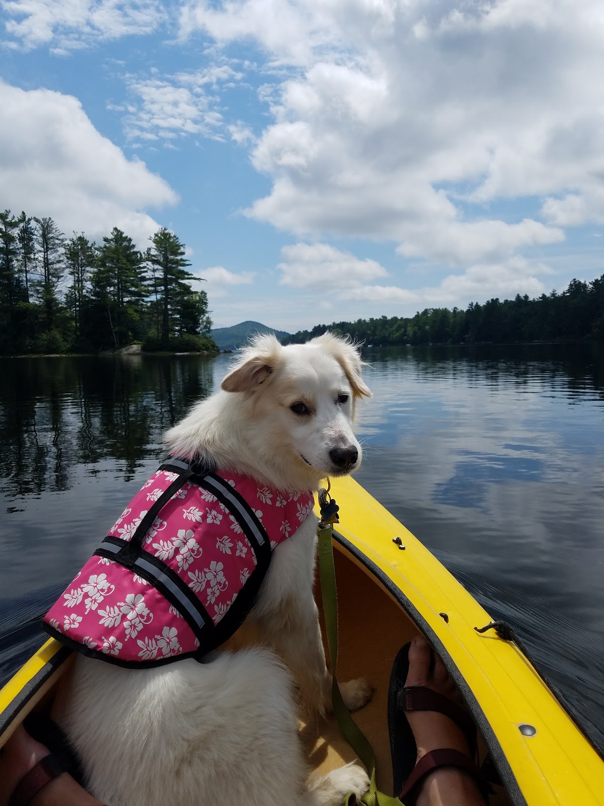 Recreational Kayaking in Maine Pitcher Pond, Lincolnville