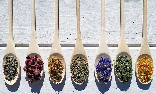 row of wooden spoons filled with dried herbs