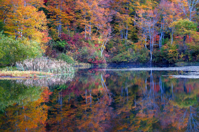 #photo #landscape #sigma #foveon #sdquattroh #japan #yamagata #shidu #写真 #風景写真 #山形帝國 #山形県 #志津