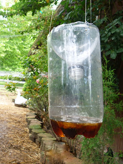 Got Flies ? Make This Easy DIY Fly Catcher out of a Soda Bottle - Fresh  Eggs Daily® with Lisa Steele