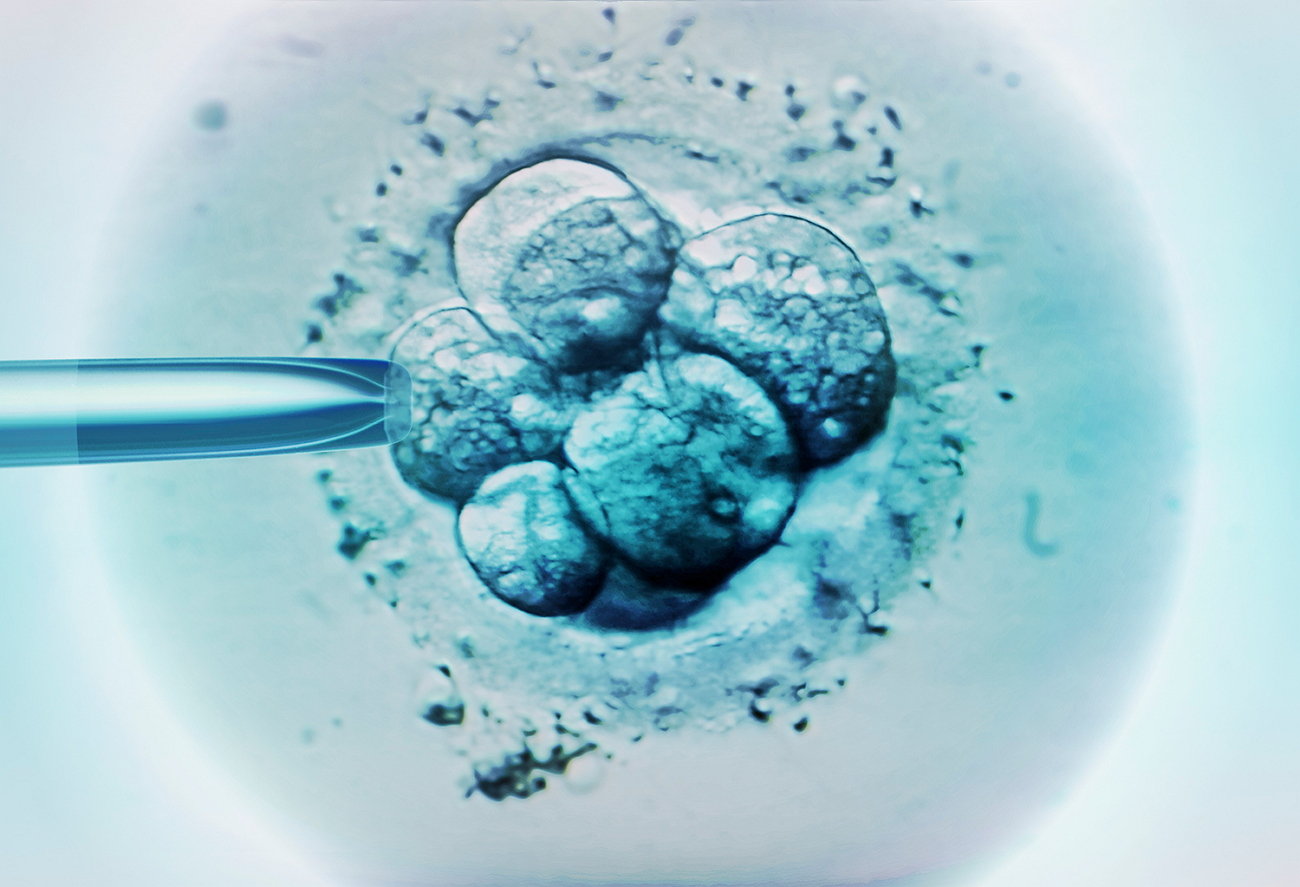 Хетчинг эмбрионов. Криоконсервация яйцеклеток. Заморозка эмбрионов. Замораживание эмбрионов.