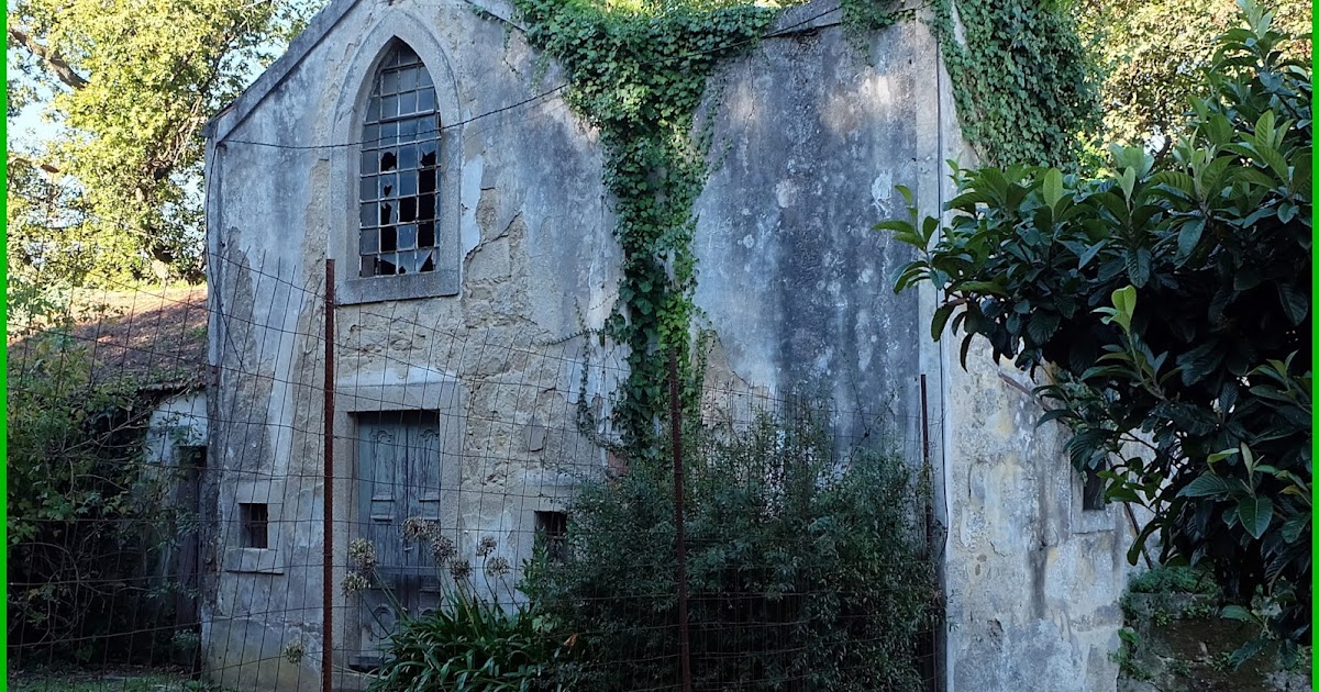 A Voz da Girafa O ESTADO DESOLADOR DO PARQUE QUINTA DO CONDE DAS DEVESAS