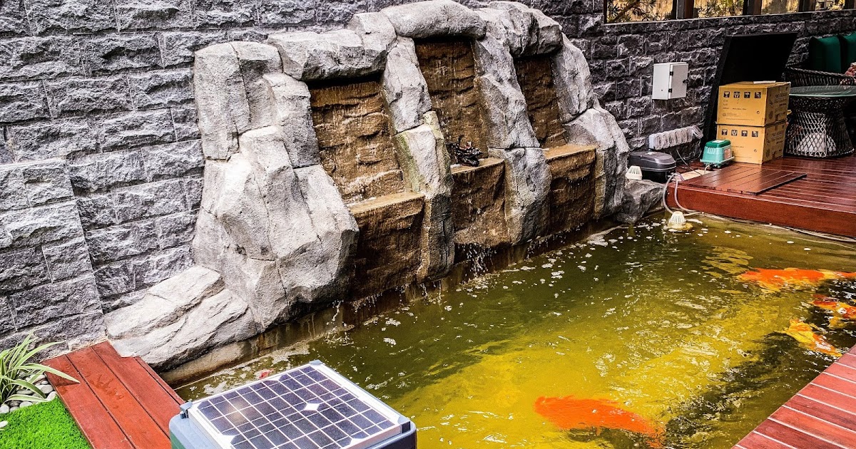 koi-pond-planning-permission-5.jpg