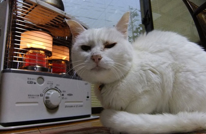 Montgomery County Fire & Rescue News & Information: 2019