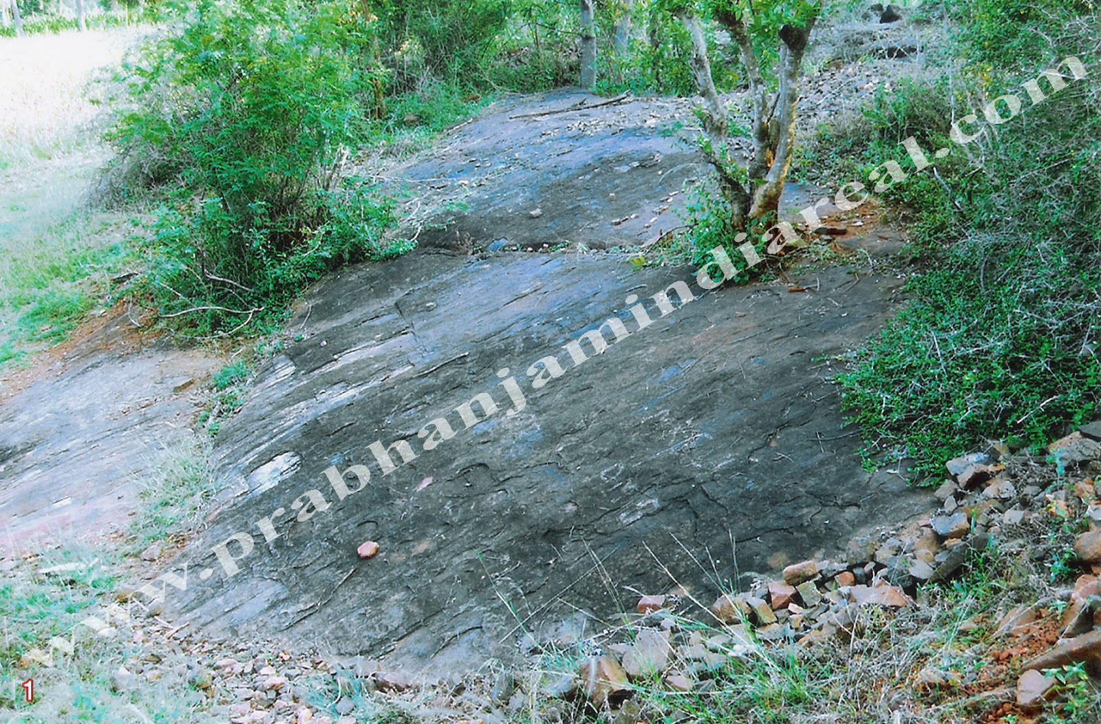 Granite land for sale in Rajapalayam,Tamilnadu,India PIHPL Granite