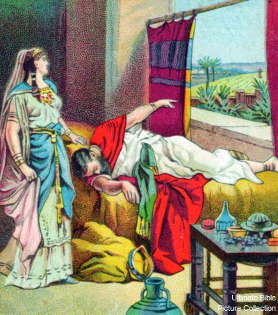 Kebun Anggur Nabot yang Istimewa