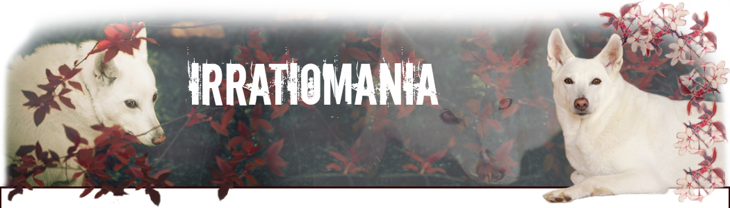 http://irratiomania.blogspot.fi/