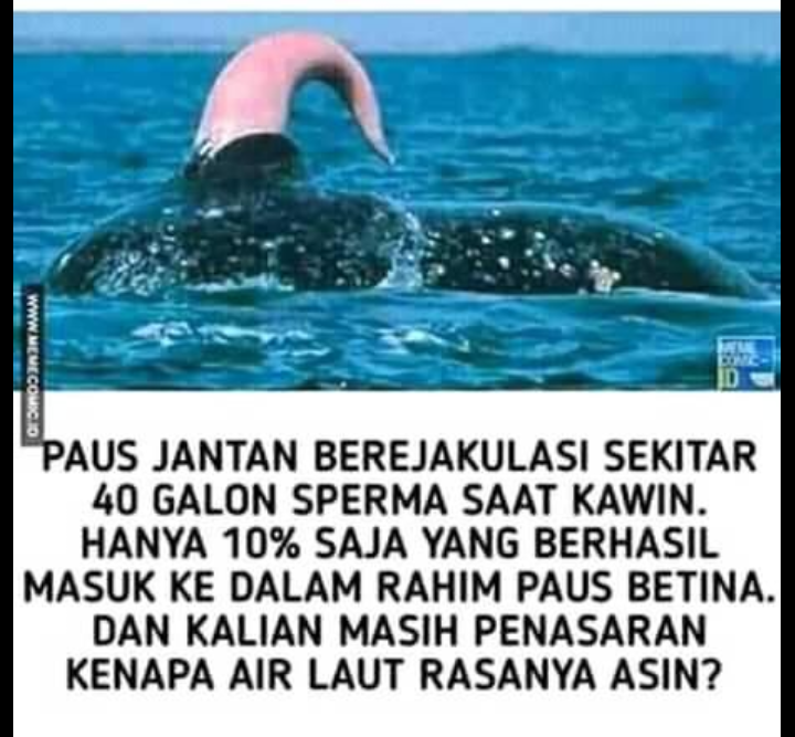 Kenapa Air Laut Asin Trio Fadli