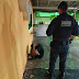 Guarda Municipal apreende menor em flagrante por tráfico de drogas na Praça do Mar, em Jacumã