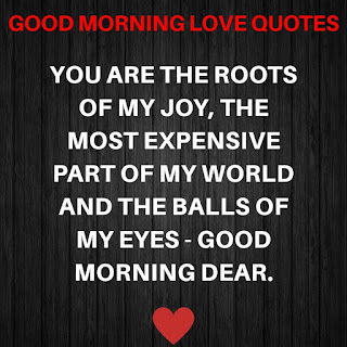 Good Morning Love Quotes