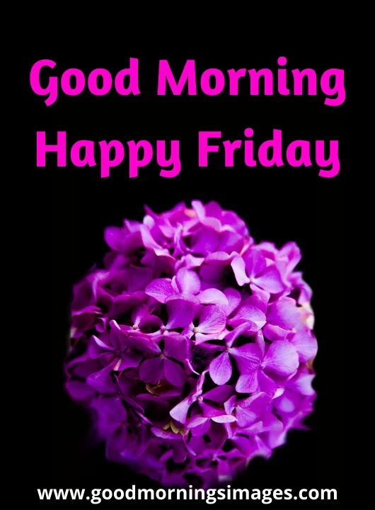 good morning pictures love good morning pictures love