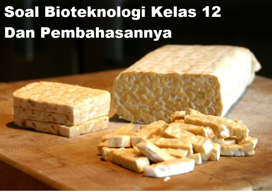 Soal Bioteknologi Kelas 12 Dan Pembahasannya Lengkap Muttaqin Id Soal Bioteknologi Kelas 12 Dan Pembahasannya Lengkap Muttaqin Id