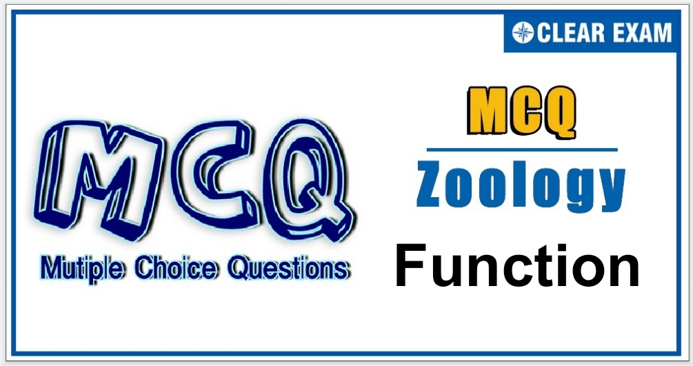 Function MCQ Basic Level