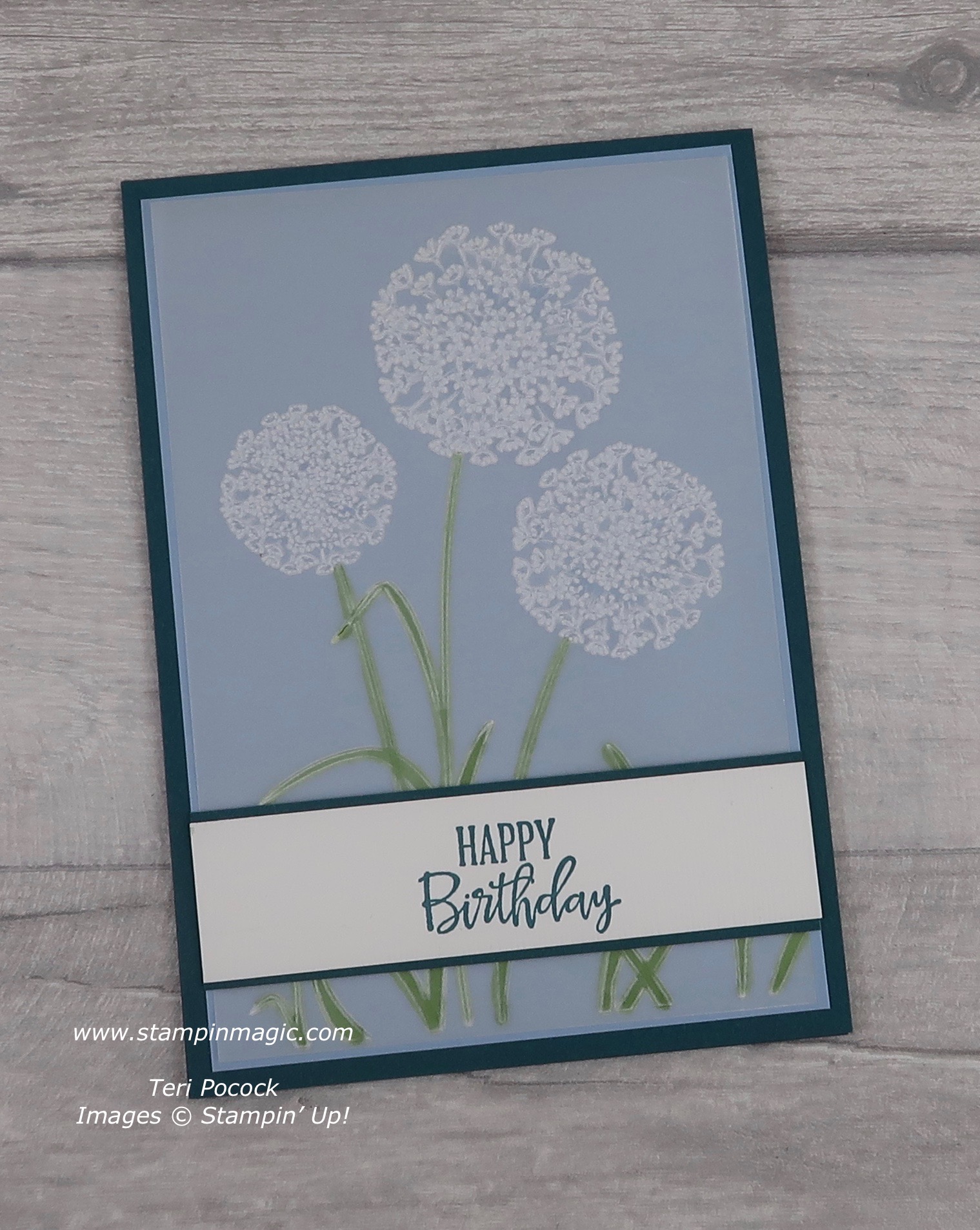 Stampin' Up! UK Demonstrator Teri Pocock Dandelions 3D Embossing