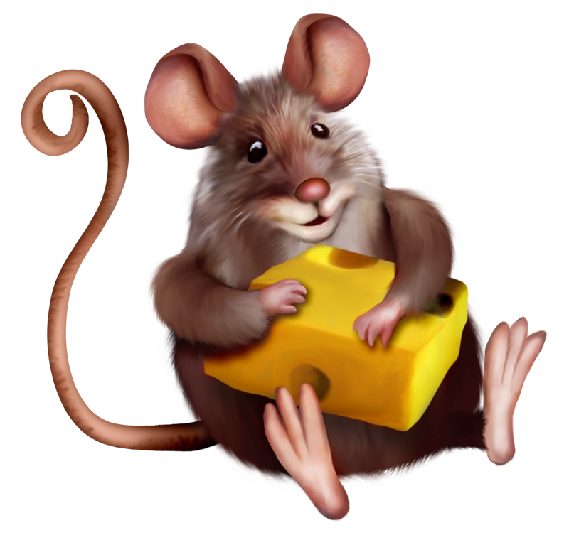 мышонок отрисовки. мышка. сидячая мышка. смешные крысы. мышонок сидит.