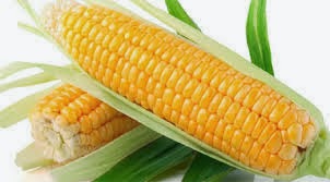 Benefits of Corn for Health