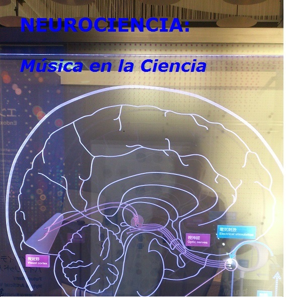  Neurociencia. Música en la ciencia.
