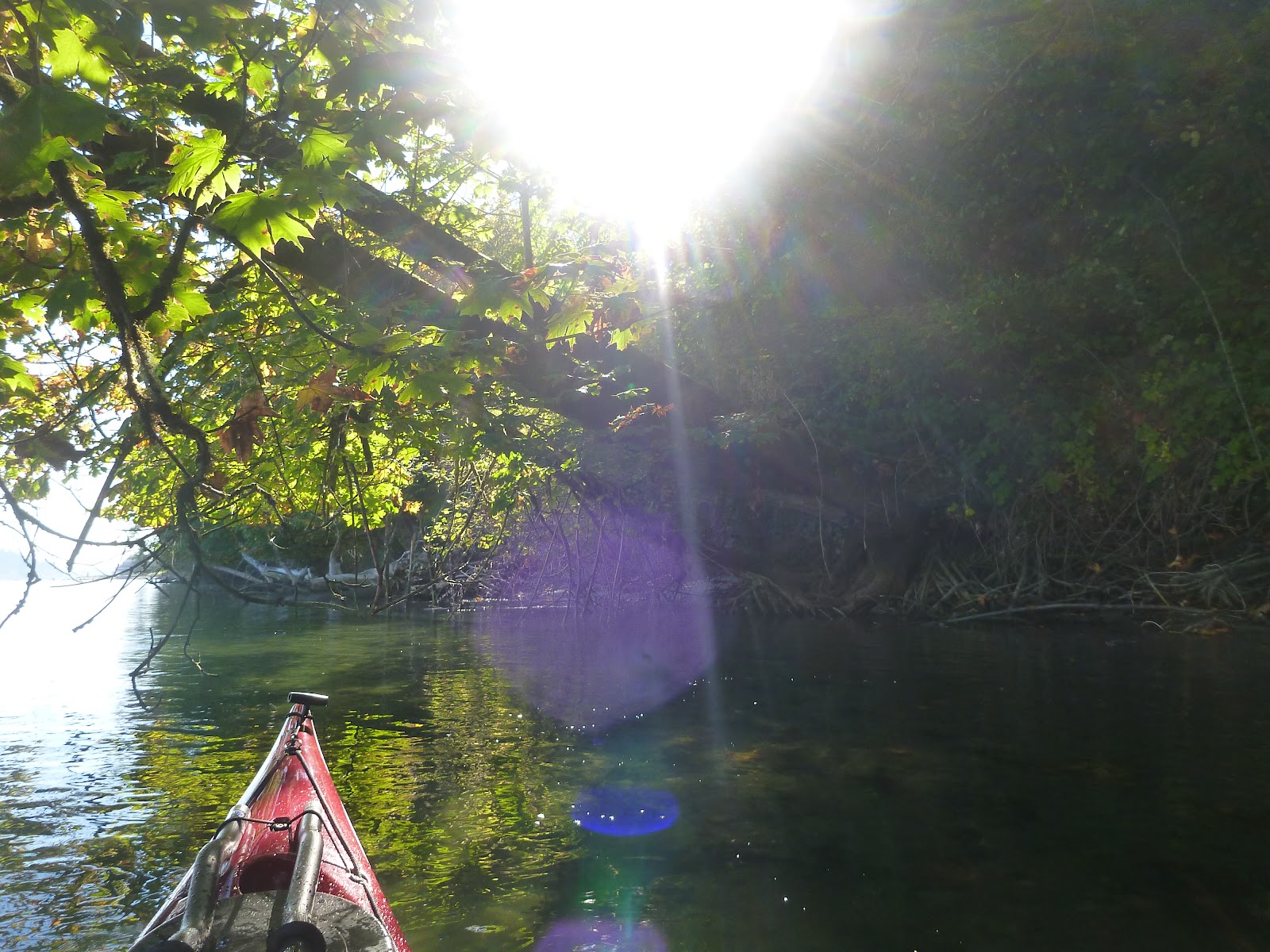 Kayakventures: Misadventures in sea kayaking: Eld Inlet - Frye Cove