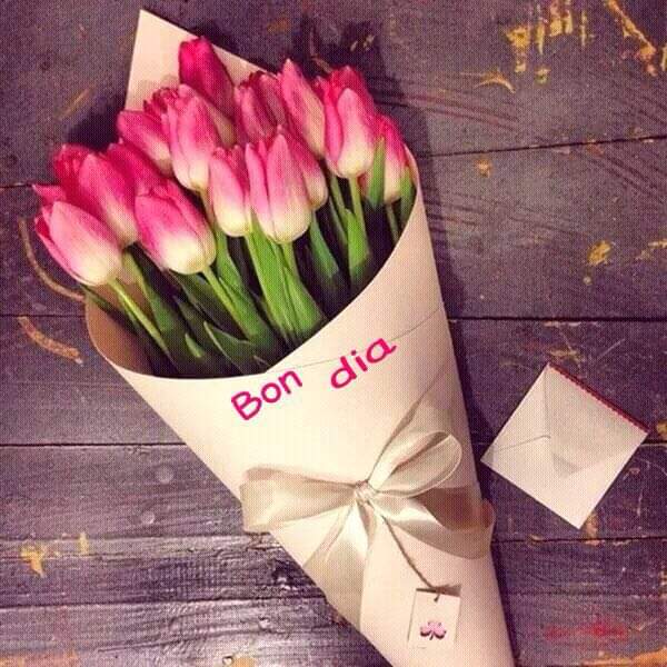 Cucurucho lleno de tulipanes de color rosa , para decir bon día