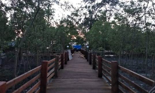 Pembangunan Sarana Wisata Alam Di Kawasan Hutan Mangrove