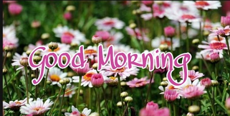 Good morning Images Good morning Images