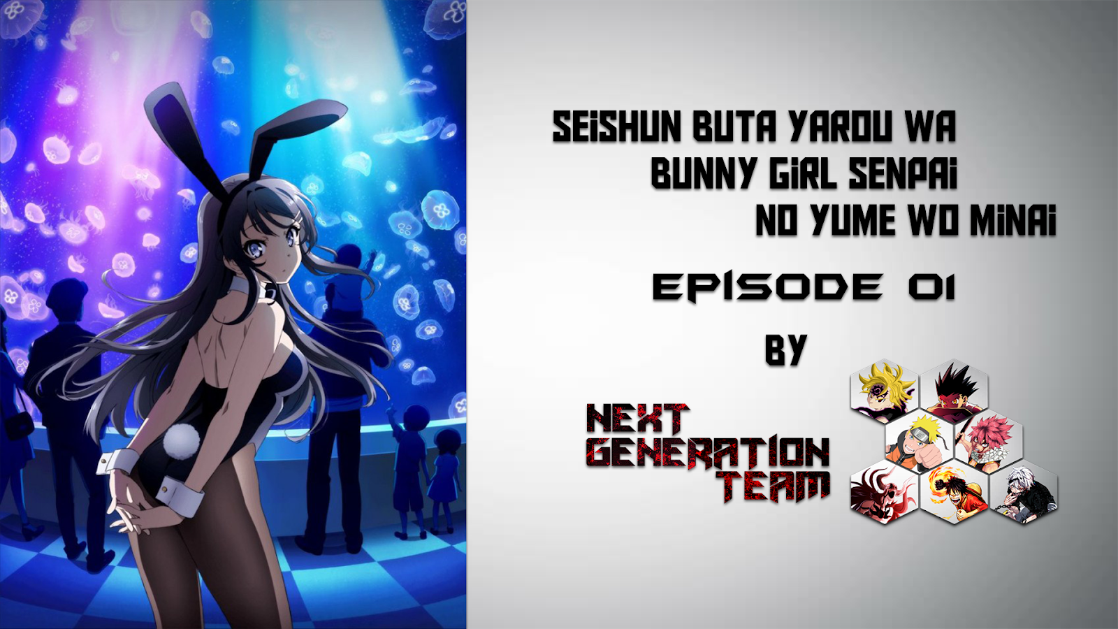 Seishun Buta Yarou Wa Bunny Girl Senpai No Yume Wo Minai 01 Next Generation Team