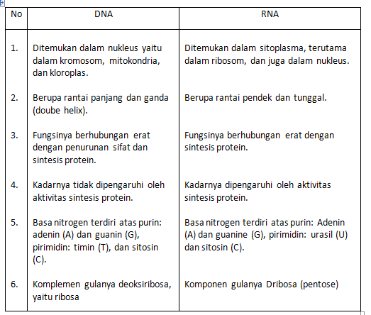 Soal Uraian Materi Genetik Kelas 12