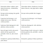 Soal essay kingdom plantae 04 picture