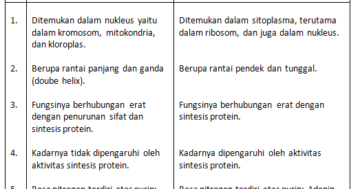Mengasah Pemahaman Mendalam: Contoh Soal Esai Biologi Semester 1 Kelas XII Mengasah Pemahaman Mendalam: Contoh Soal Esai Biologi Semester 1 Kelas XII