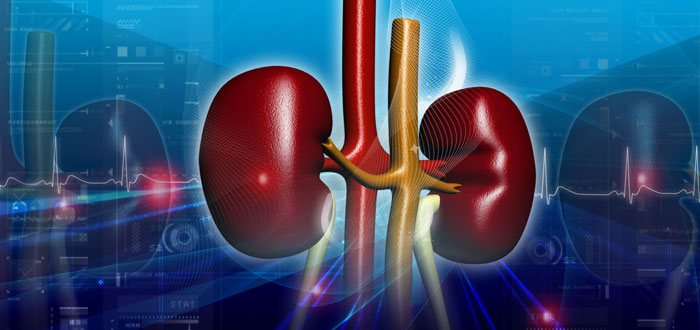 Ayukarma: 22 Things You Should Avoid To Prevent Kidney Damage