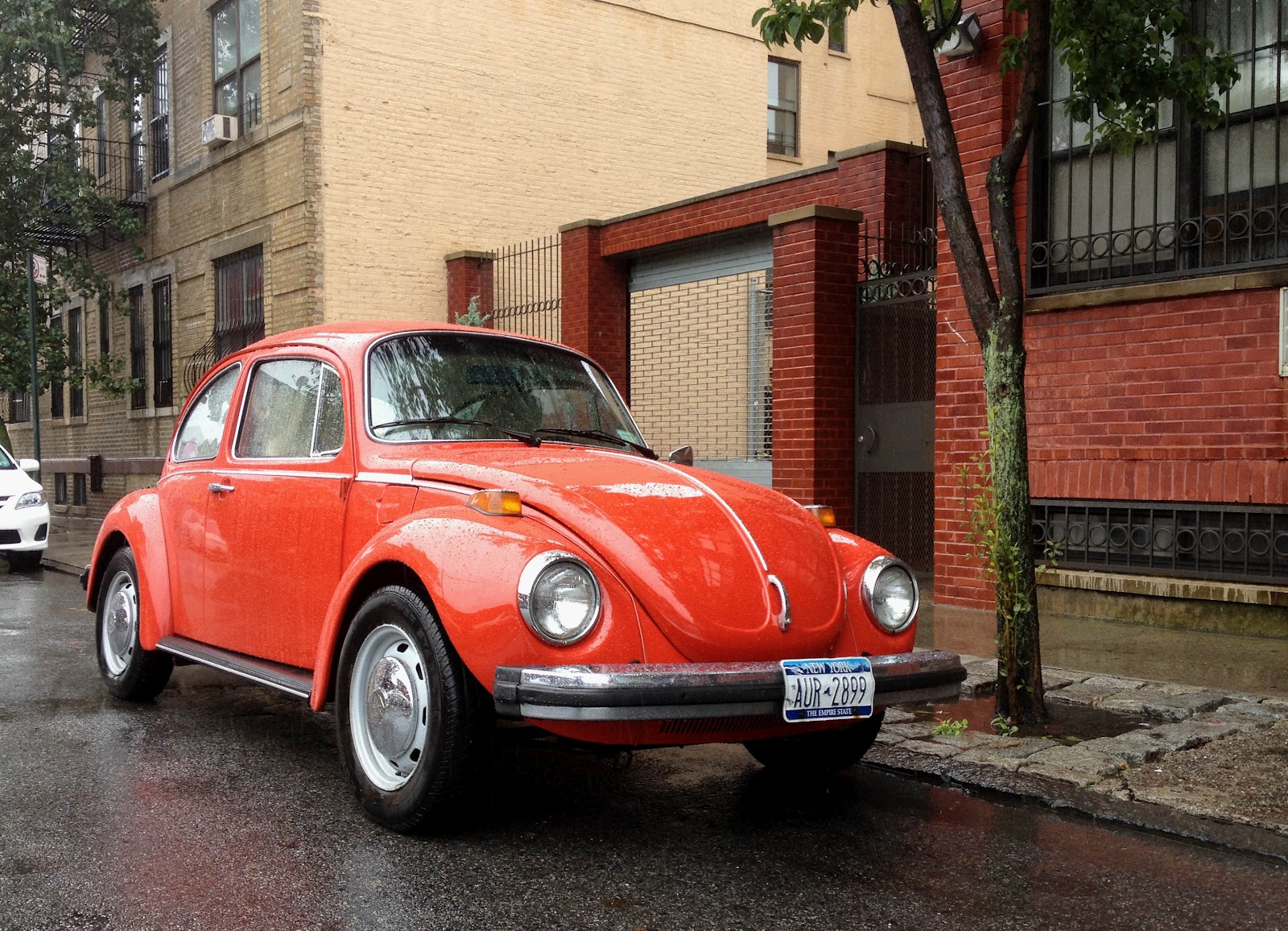 1988 Toyota Supra >> CSCB Home: 1974 Volkswagen Super Beetle 1988 Toyota Supra >> CSCB Home: 1974 Volkswagen Super Beetle
