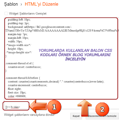 Klasik blog CSS kodları nereye koyulur